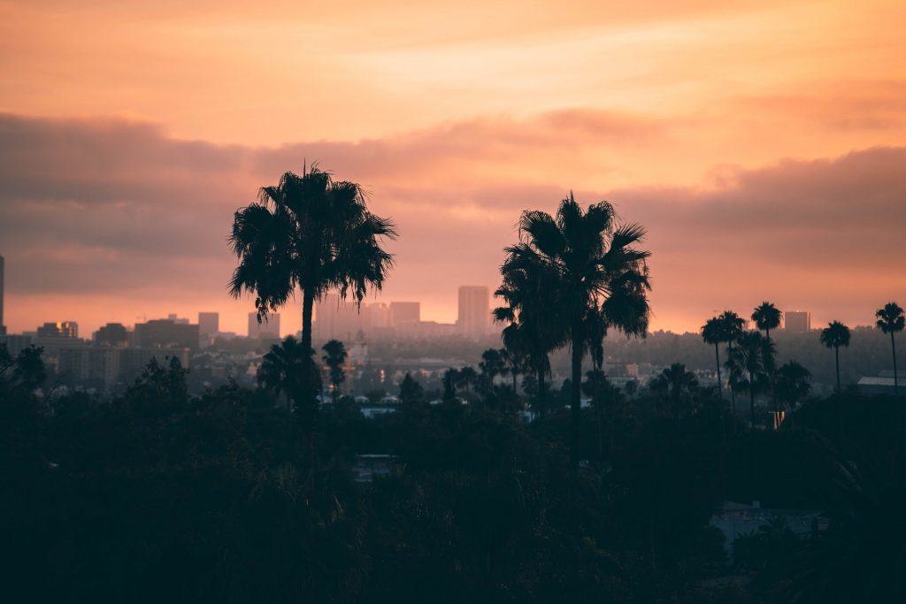 californien og palmer